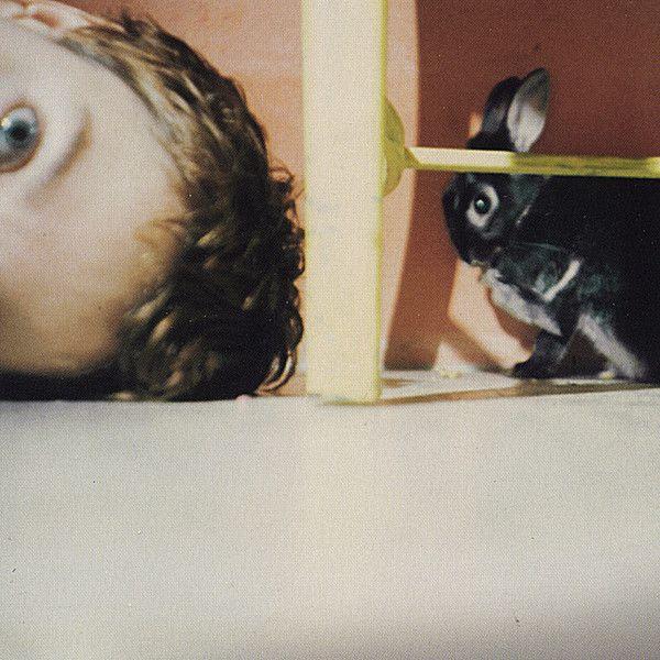 Capa do Álbum "The Sincere Recording Co. Presents Simone White", de Simone White