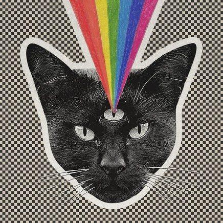 Portada de Álbum "Black Cat", de Never Shout Never