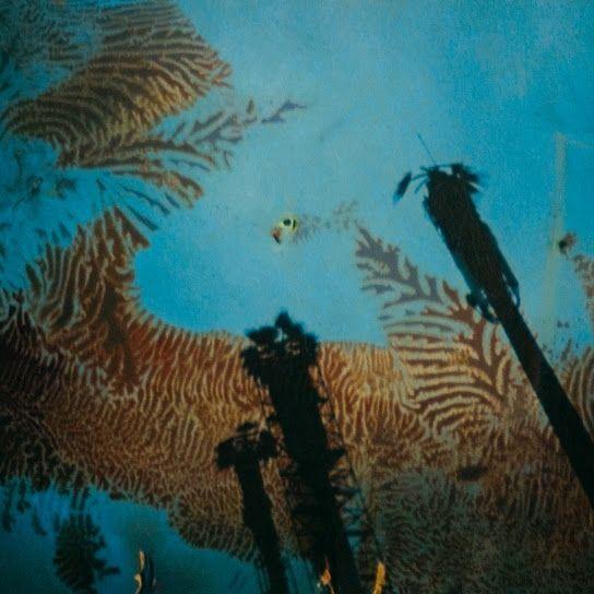 Album cover of "Nonato Coo" by Niños Del Cerro