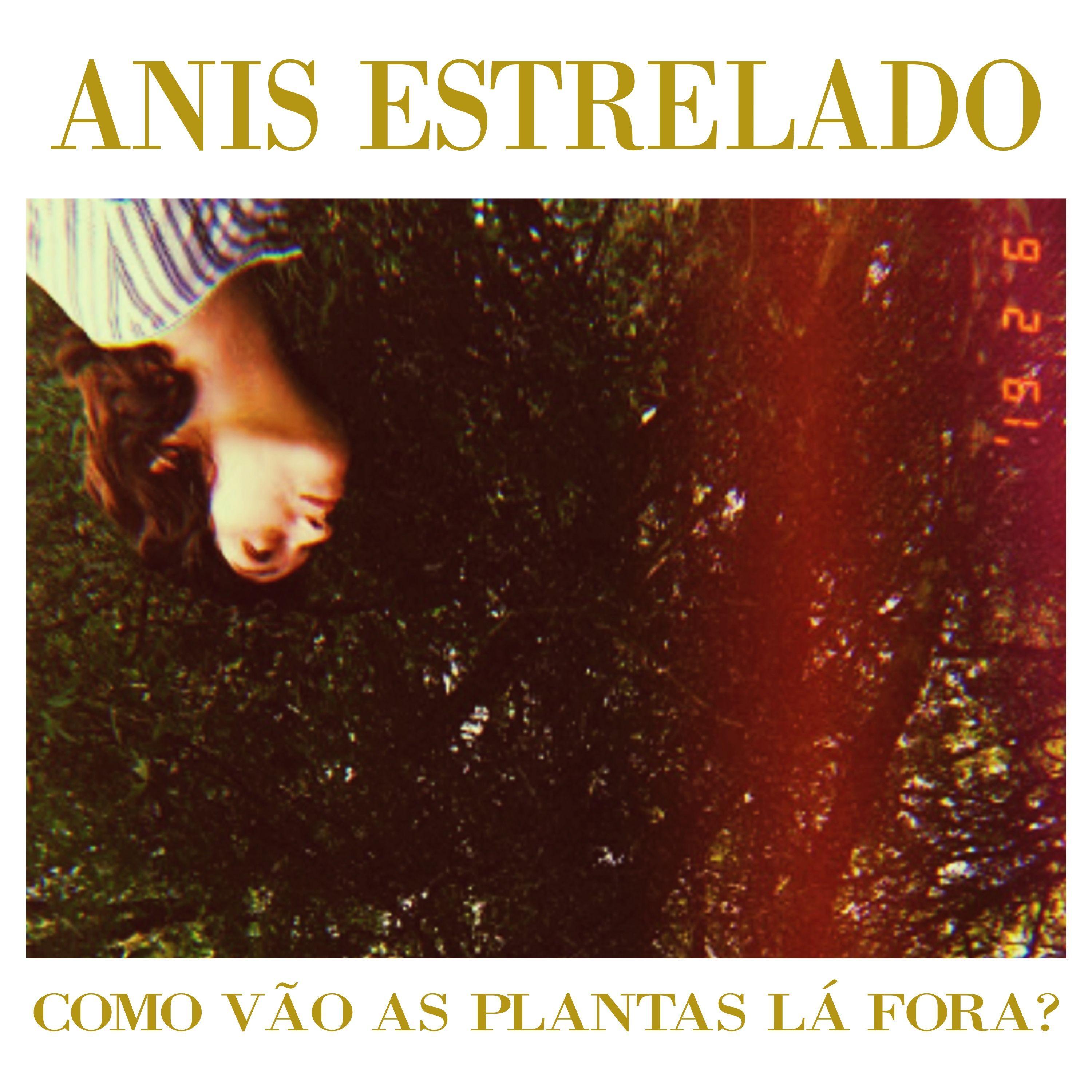 Single/EP cover of "Como vão as plantas lá fora?" by Anis Estrelado