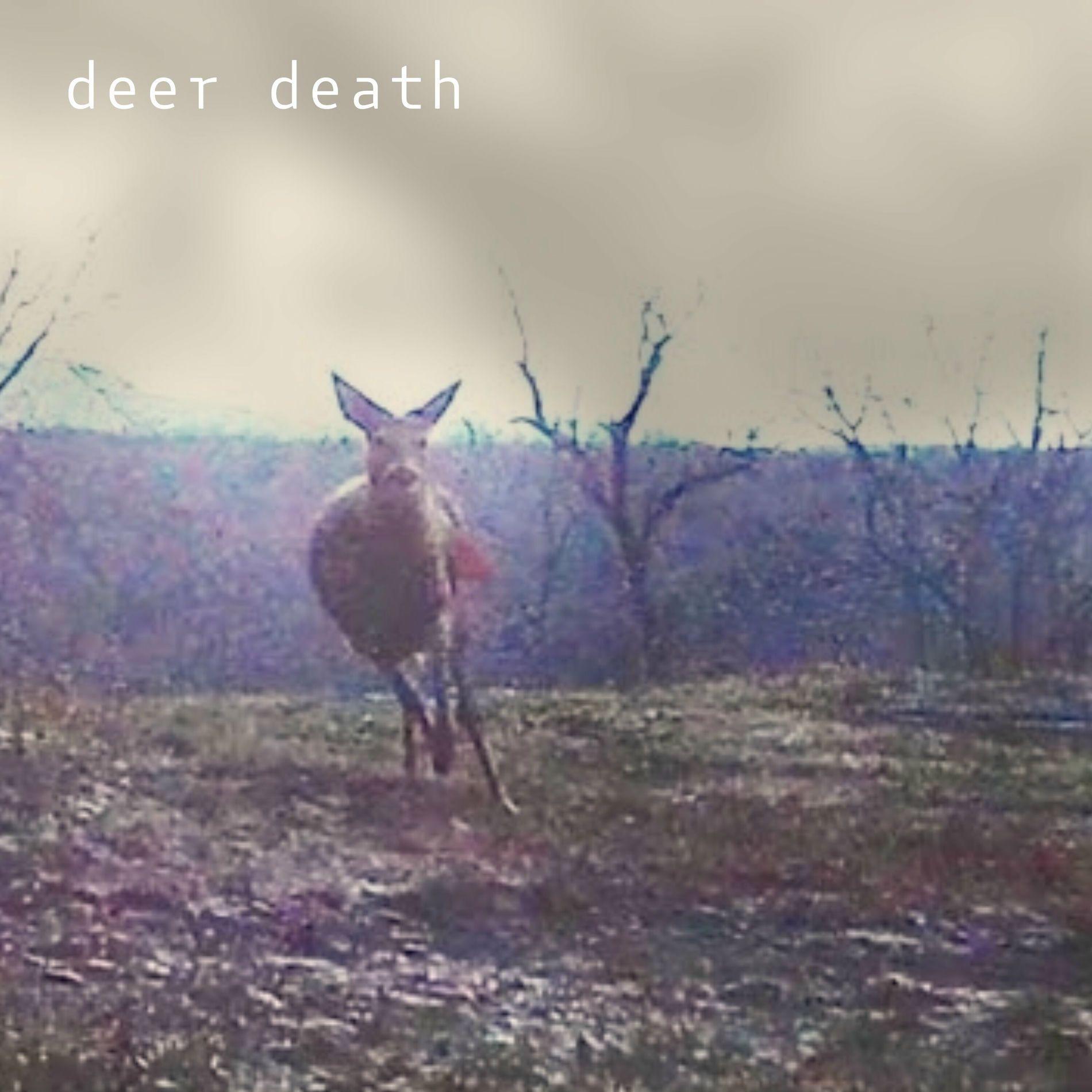 Album cover of "demos & throwaways" by deer death
