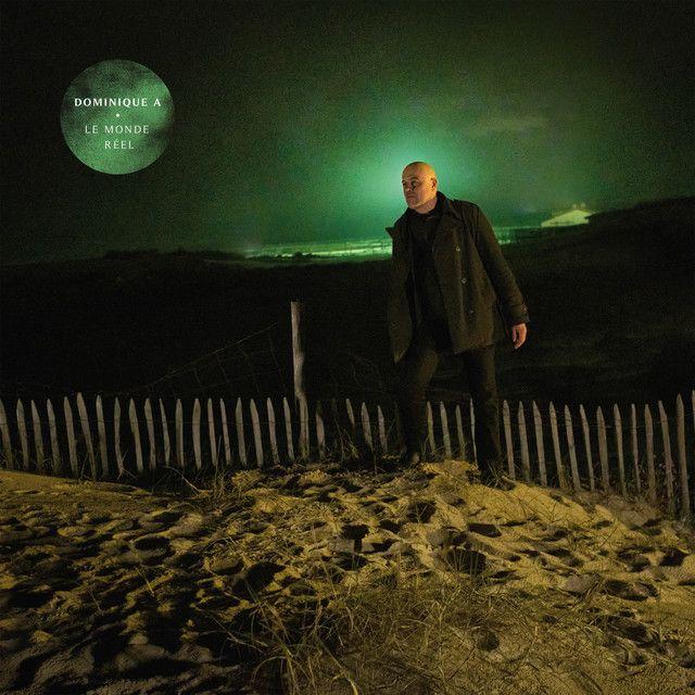 Album cover of "Le Monde Réel" by Dominique A