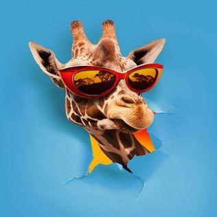 Portada de Sencillo/EP "JAMBO", de Takagi & Ketra