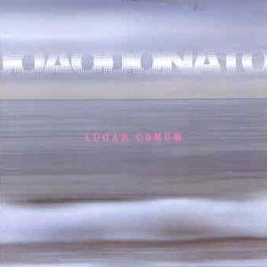 Album cover of "Lugar Comum" by João Donato