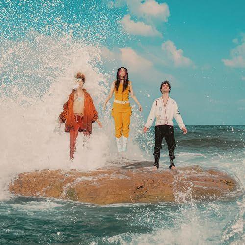 Portada de Álbum "The Year of Madness", de Father Of Peace