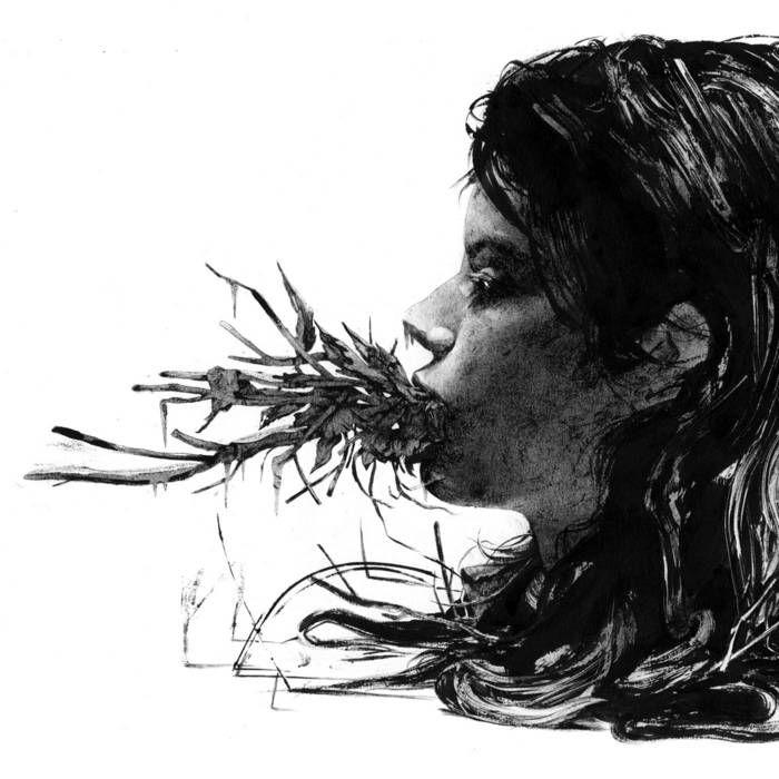 Portada de Álbum "Entanglements", de Parenthetical Girls