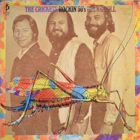 Capa do Álbum "Rockin' 50's Rock n' Roll", de The Crickets