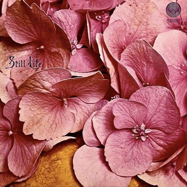 Capa do Álbum "Still Life (1971)", de Still Life