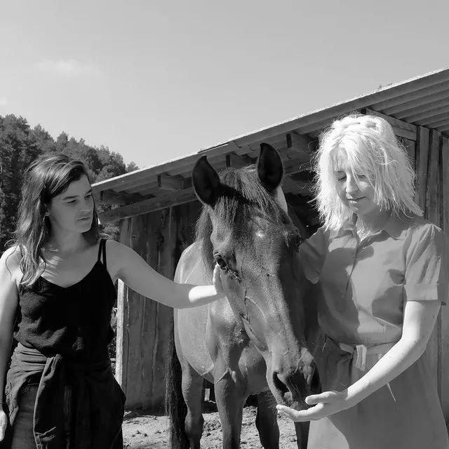 Portada de Sencillo/EP "Talk to Me (feat. Hailey Beavis)", de Lydia Cole