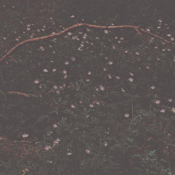 Capa do álbum "holding", de Sadness