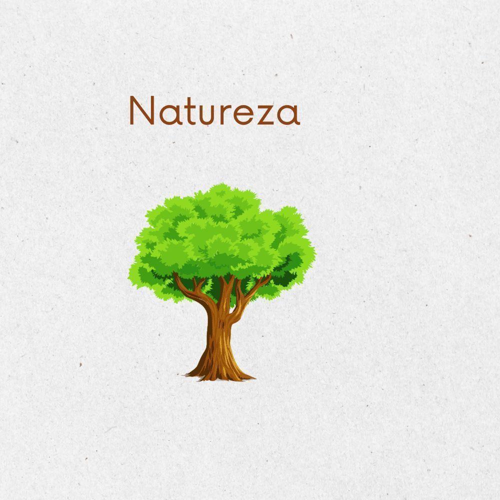 Cover for Single/EP "Natureza " by Galera do Barulho