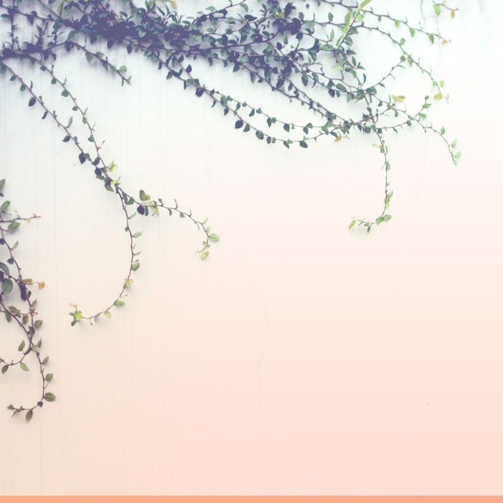 Portada de Álbum "Valsa e Vapor", de Phill Veras