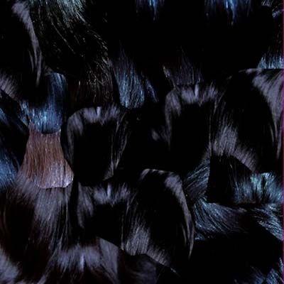 Capa do Álbum "Gyu", de Tujiko Noriko