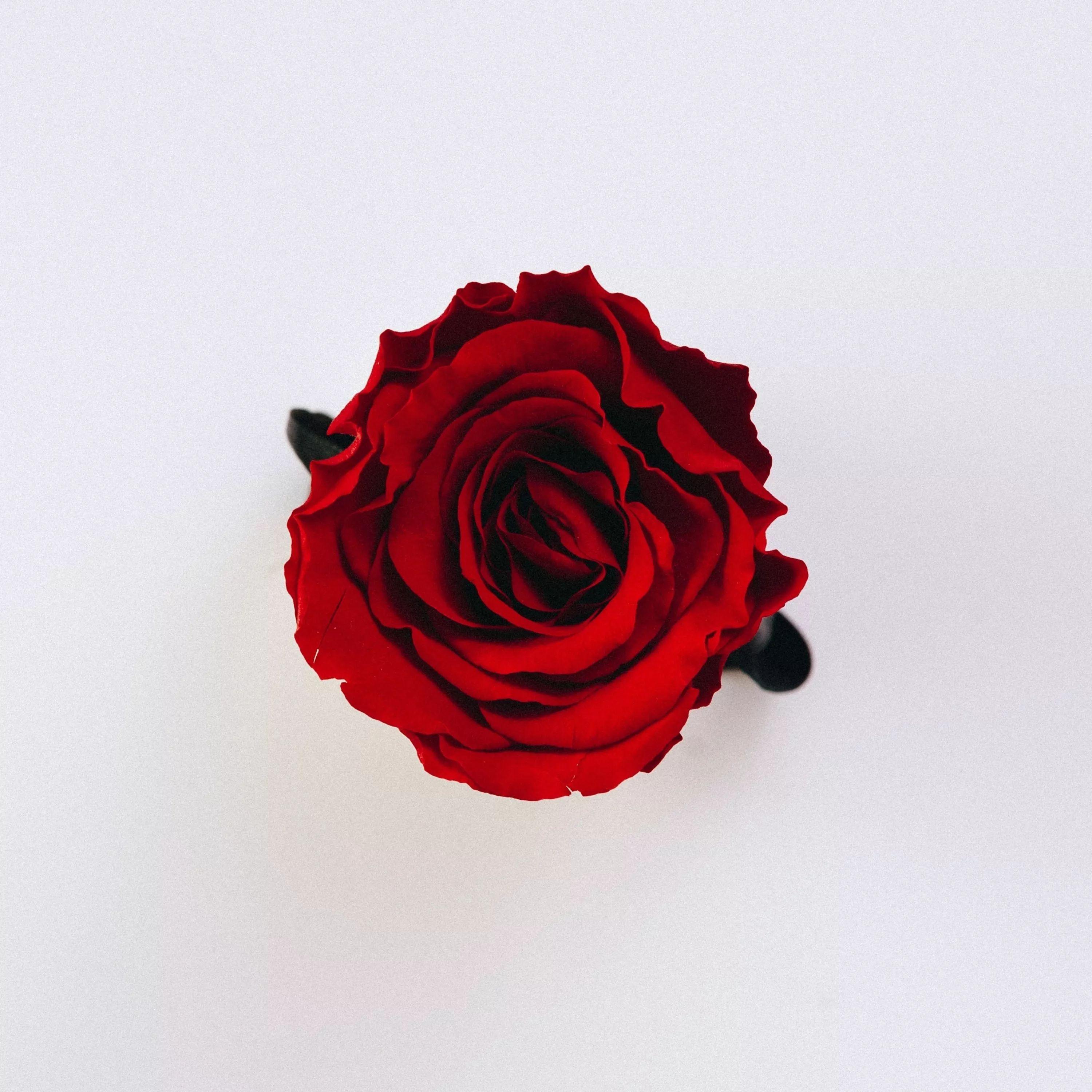 Single/EP cover of "Hipérbole" by Oliver Aldrin