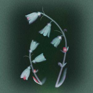 Portada de Sencillo/EP "25", de Yumi Nu