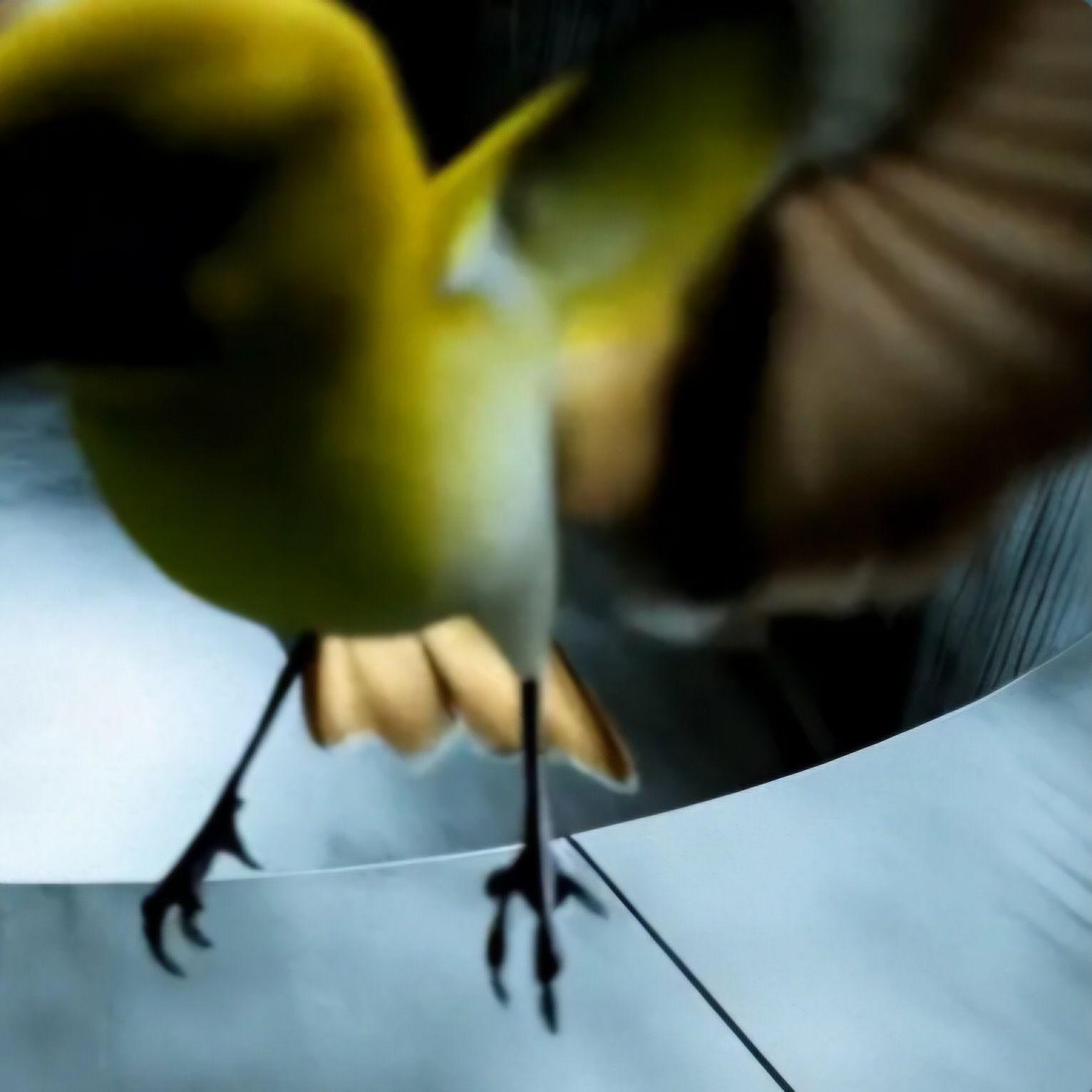 Portada de Sencillo/EP "Unplanned", de Clara La San