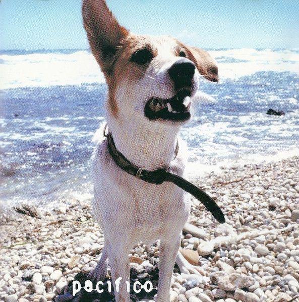 Capa do Álbum "Pacifico", de Pacifico