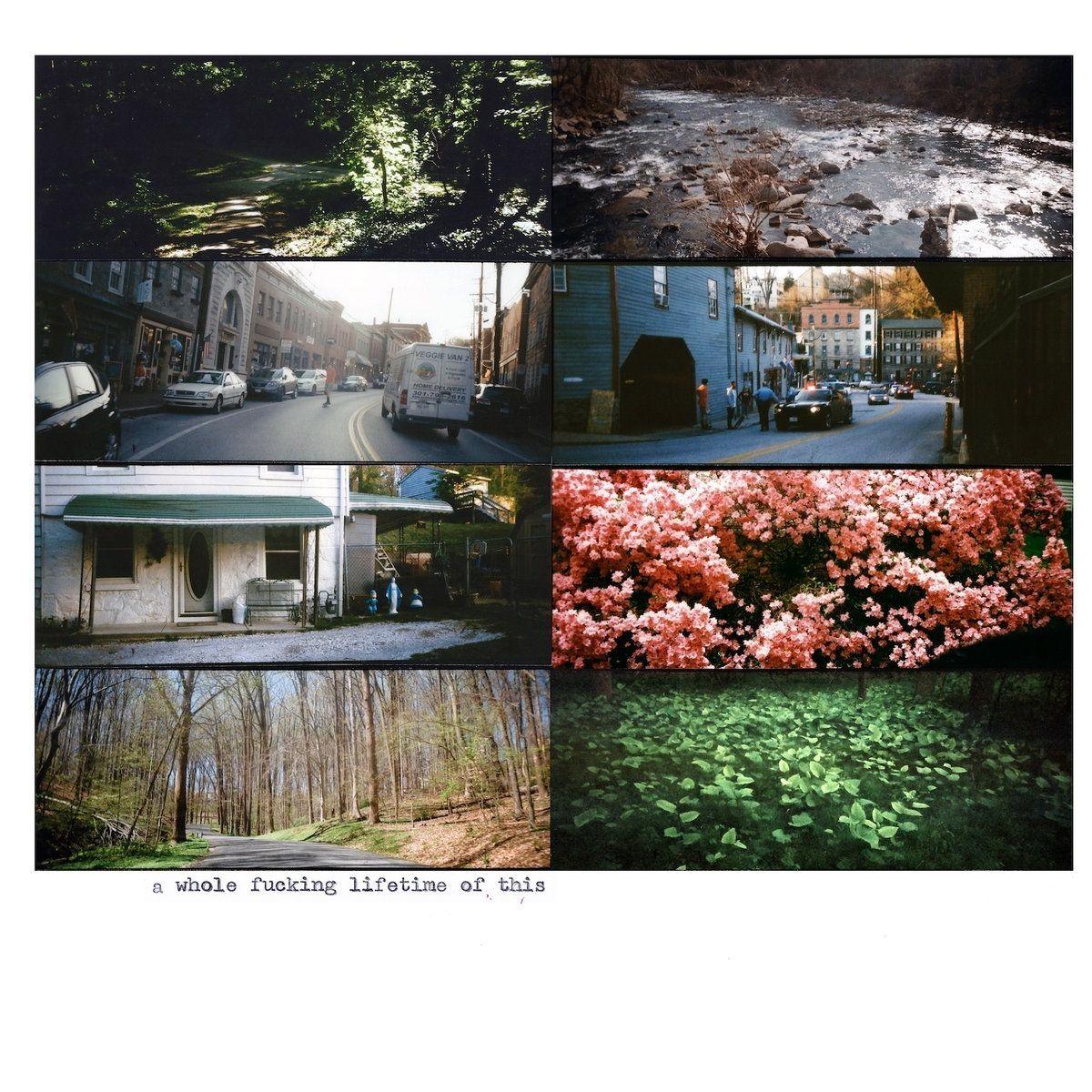 Portada de Álbum "a whole fucking lifetime of this", de American Pleasure Club