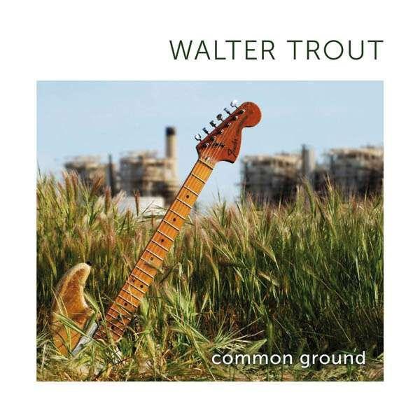 Album cover of "Common Ground" by Walter Trout