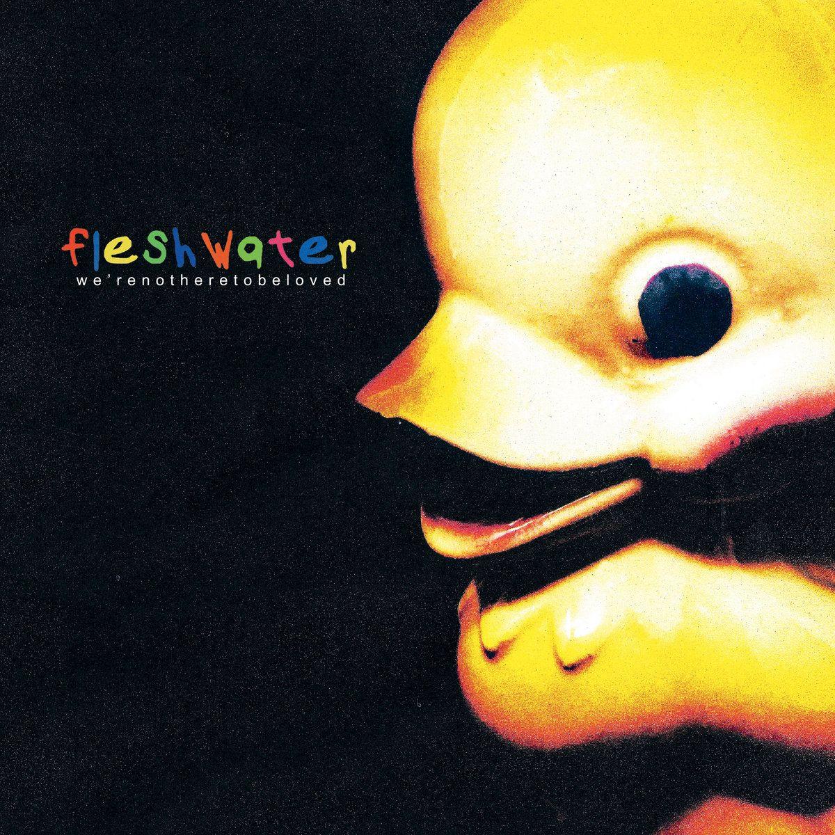 Capa do Álbum "We're Not Here To Be Loved", de Fleshwater