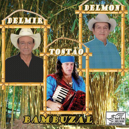 Portada de Álbum "Bambuzal (part. Tostão)", de Delmir e Delmon