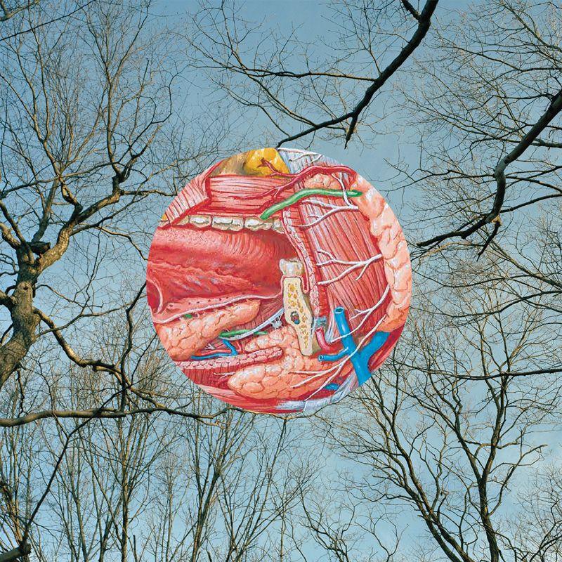 Portada de Álbum "Glean", de They Might Be Giants