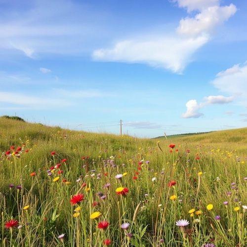 Portada de Sencillo/EP "Amanhecer Com Você", de Ana Beatriz