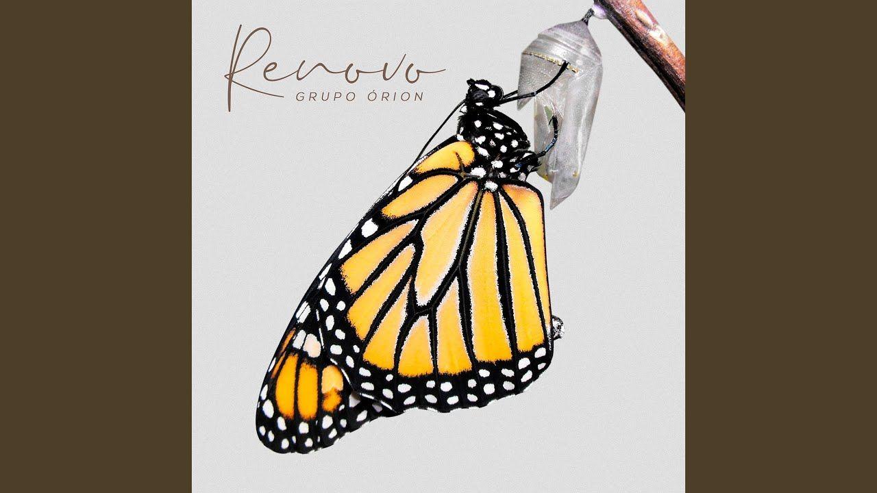 Capa do álbum "Renovo", de Grupo Órion