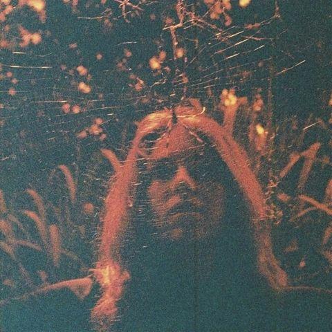Capa do Álbum "Peripheral Vision", de Turnover
