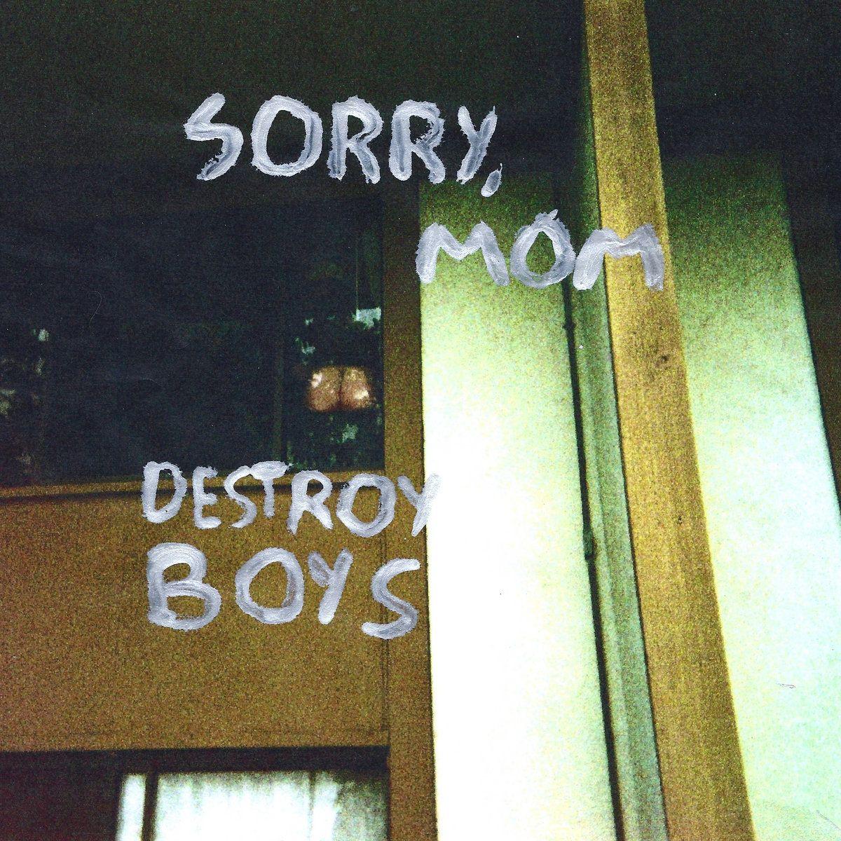 Album cover of "Sorry, Mom" by Destroy Boys