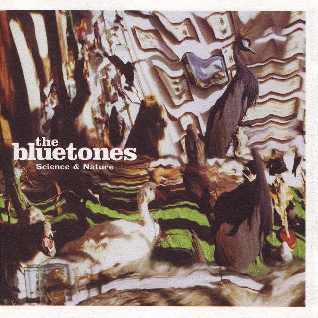 Portada de Álbum "Science And Nature", de The Bluetones