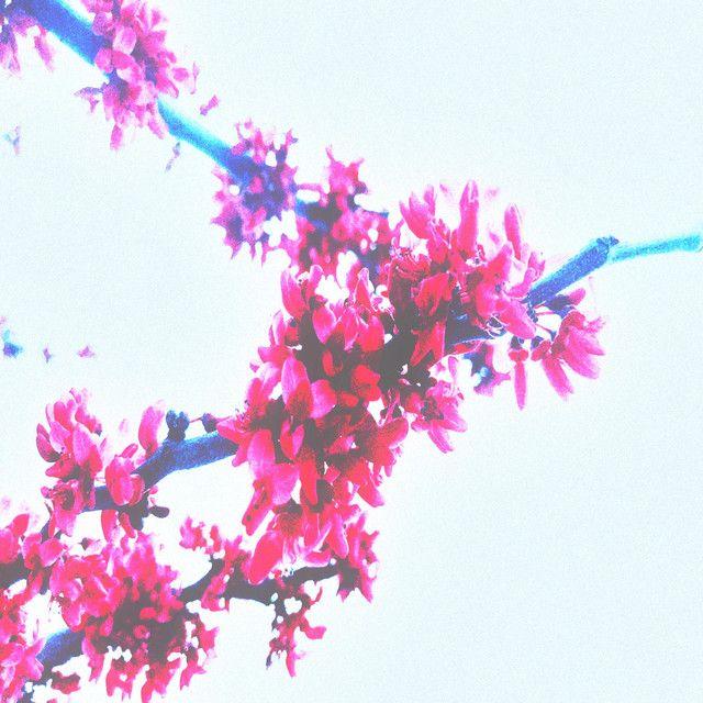 Capa do álbum "compilation two", de Sadness