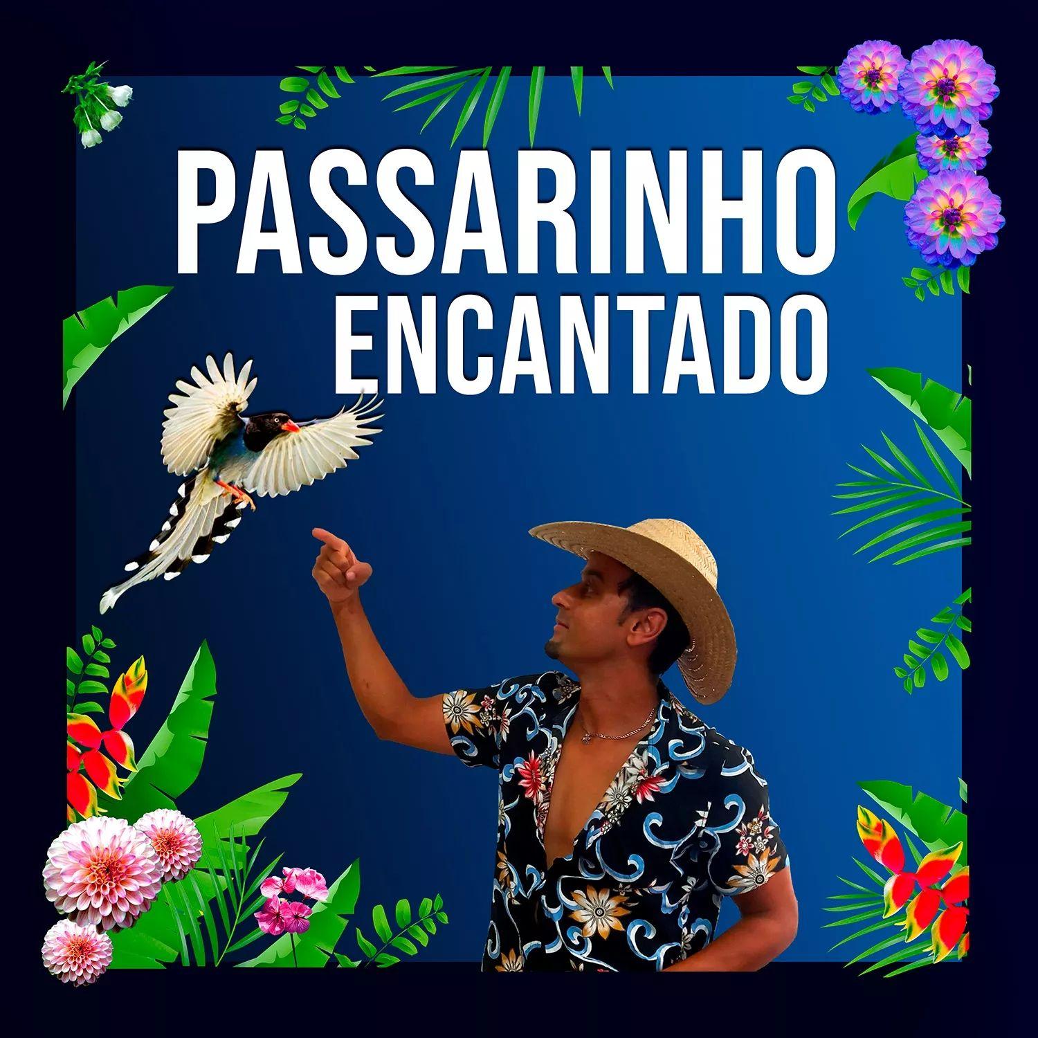 Single/EP cover of "Passarinho Encantado" by O Mensageiro do Som