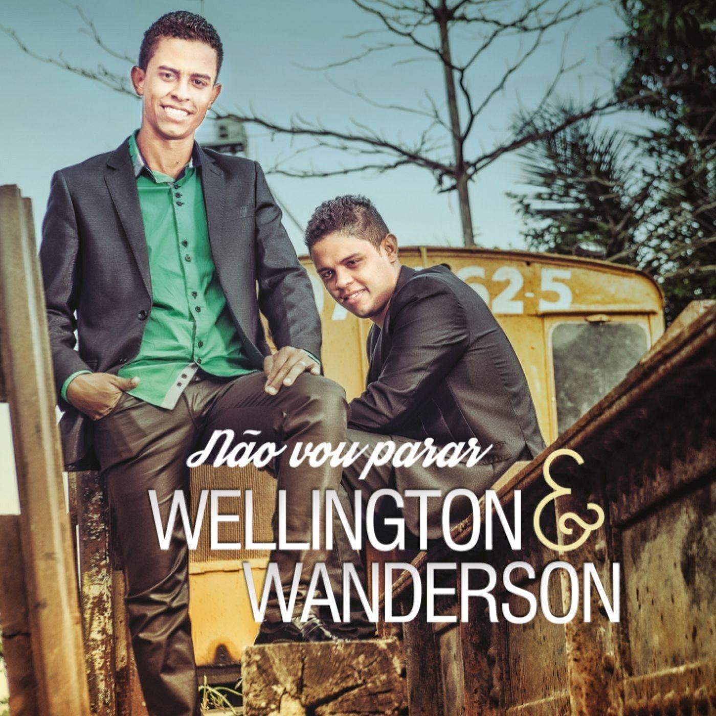 Portada de Álbum "Não Vou Parar", de Wellington & Wanderson