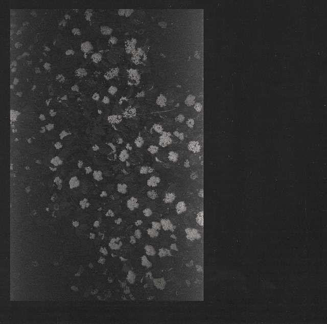 Capa do Álbum "Poverty", de Motorama