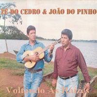 Portada de Álbum "Voltando Às Raízes", de Ze do Cedro e João do Pinho