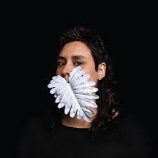 Portada de Álbum "Folhuda", de Juliana Perdigão