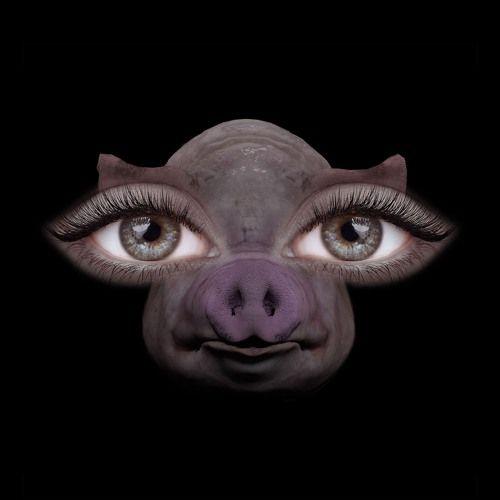 Portada del álbum "Us And Pigs", de SOFIA ISELLA