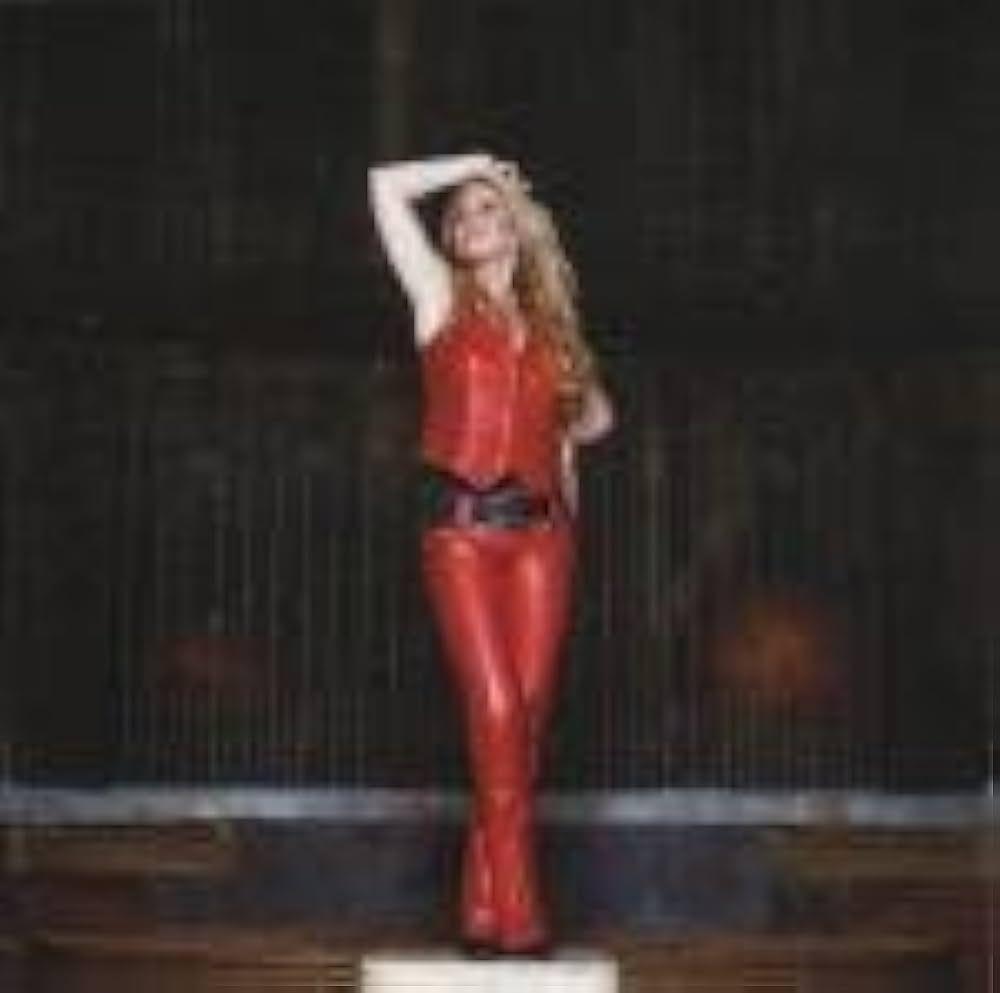 Capa do Álbum "The Album", de Sanne Salomonsen