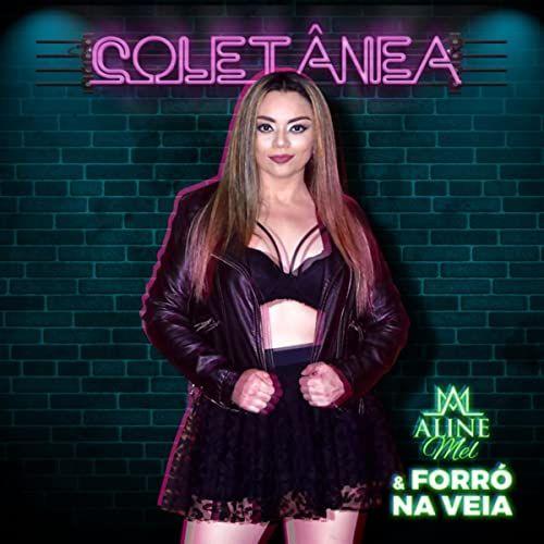 Portada de Álbum "Coletânea", de Forró na Veia