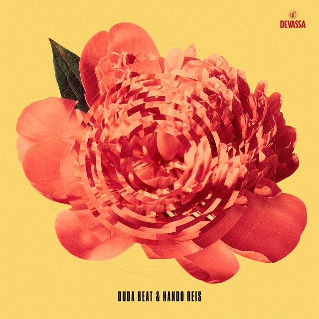 Portada del álbum "DUDA BEAT & NANDO REIS", de Nando Reis