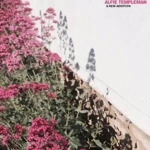 Portada de Álbum "A New Addition", de Alfie Templeman