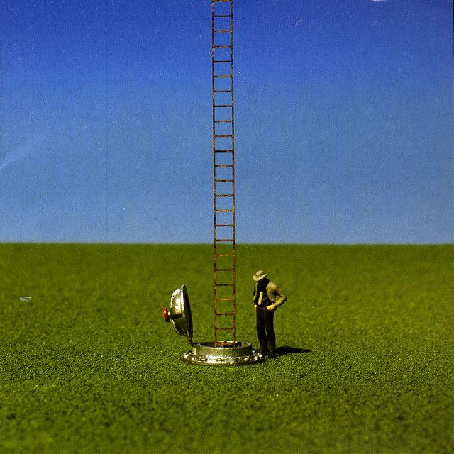 Capa do Álbum "Hormigas", de Árbol