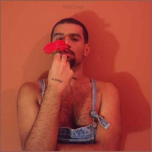 Portada de Álbum "Unlovers", de Harlley