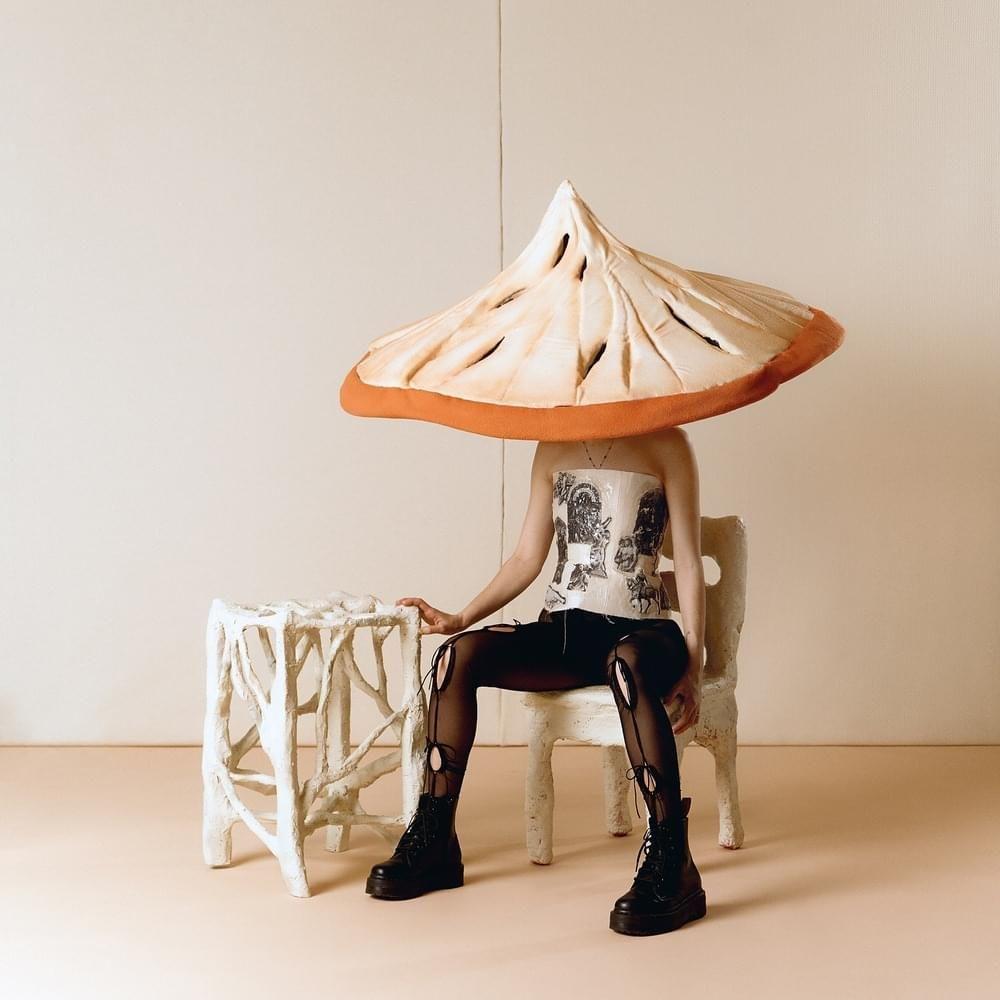 Capa do Álbum "consolation", de Pomme