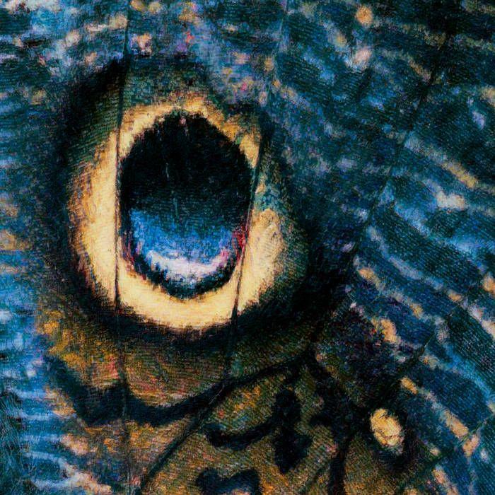 Portada de Sencillo/EP "Chifres de Âmbar", de Oneance