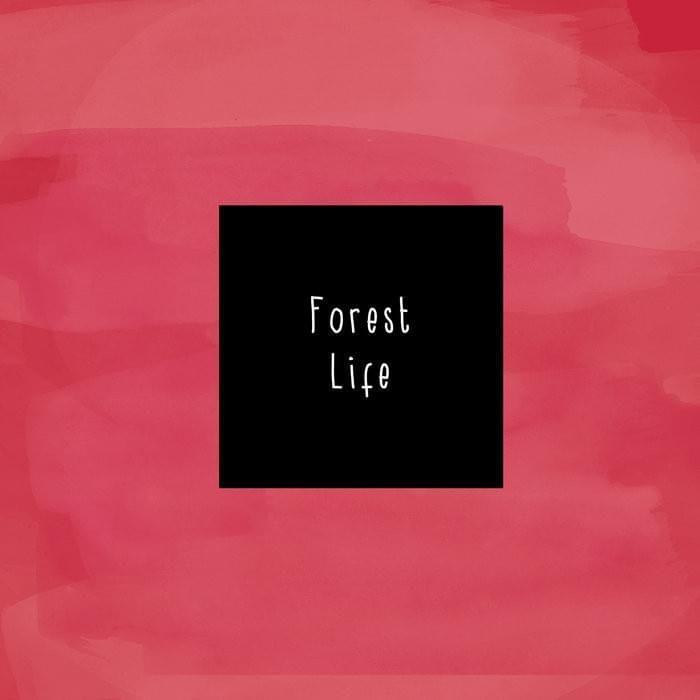 Capa do Álbum "Forest Life", de McCafferty