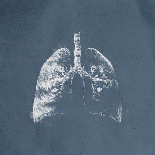 Capa do álbum "płuca", de Lör
