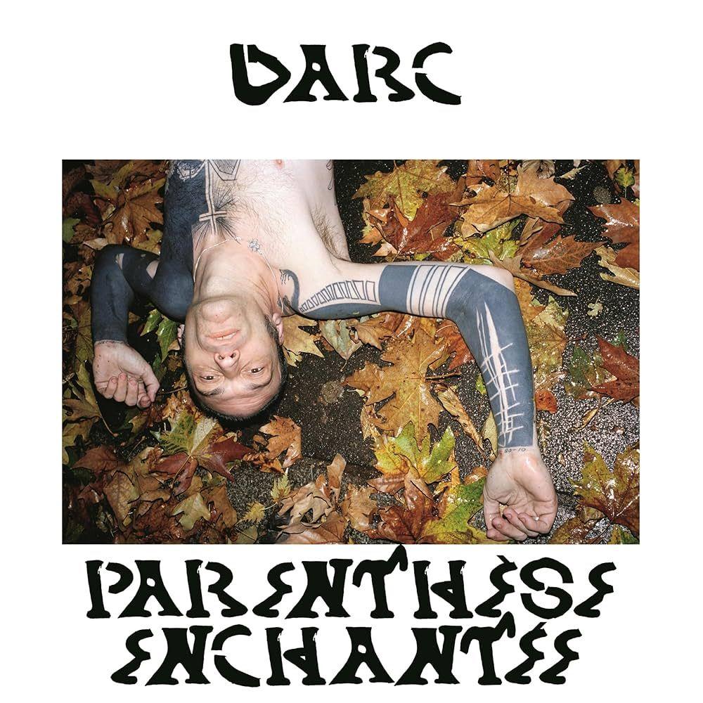 Capa do Álbum "Parenthèse Enchantée", de Daniel Darc