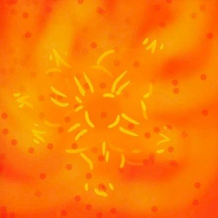 Portada de Álbum "Complement", de Monny Gray